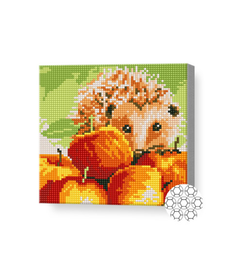 Mozaic cu diamante 20x20 cm Arici prin mere